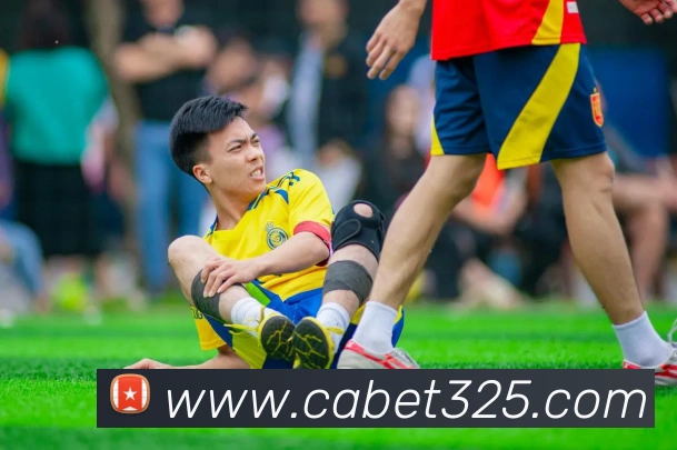 ca亚洲城APP 封面图